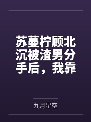 时岁时言心封面